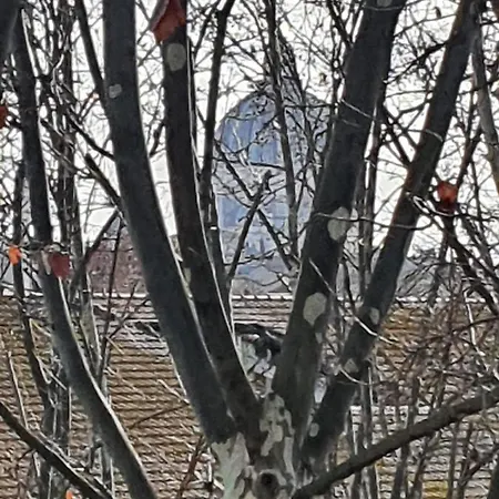 Διαμέρισμα Lepanto *